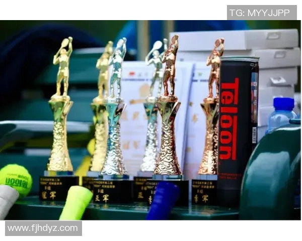 杭州网球队与成都网球队赛后分析力量对比与战术探讨