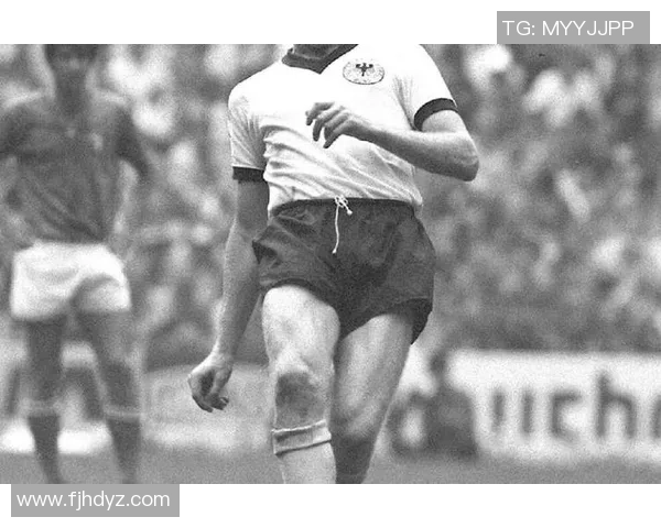 足球传奇亨利的血统与风采揭秘及其经典瞬间回顾