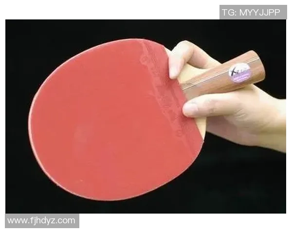 乒乓球新手攻略：战术入门指南